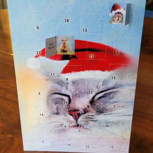 Adventskalender - Motiv Katze