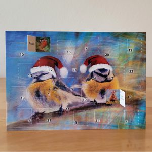 Adventskalender-Meisen-Anke-Sowada