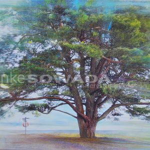 Malerei-Baum-Kiefer