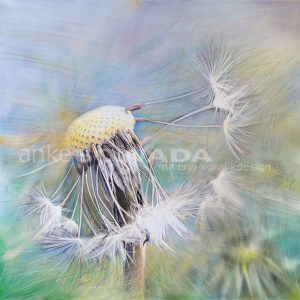 "Ausgepustet" 70x70cm, Leinwand