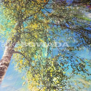 "In Bewegung" 70x100cm, Leinwnad