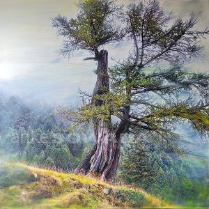 "Lukmanierpass" 80x80cm, Leinwand