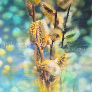 "Märzkätzchen" 70x70cm, Leinwand