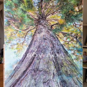 "Mammutbaum" 80x120cm, Leinwand