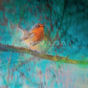 "Roslie" 70x70cm, Leinwand